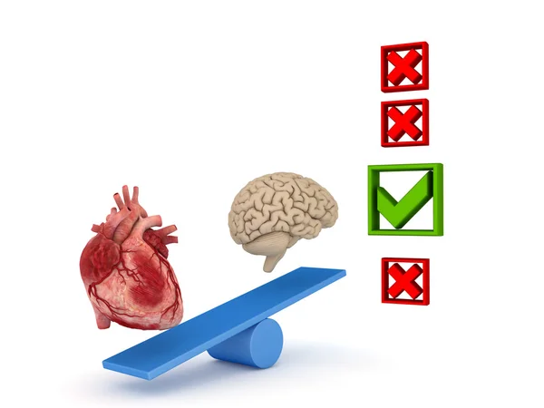 Ludzkie serce i mózg. — Zdjęcie stockowe