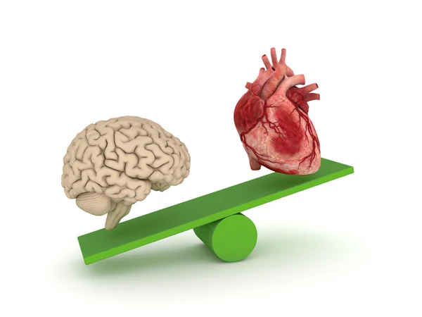 Human heart and brain. — Stock Photo, Image