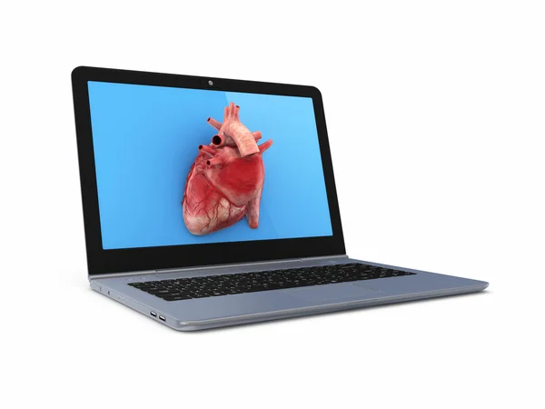 Человеческое сердце на экране ноутбука . — стоковое фото