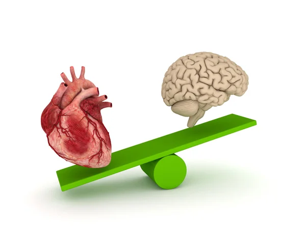 Human heart and brain. — Stock Photo, Image