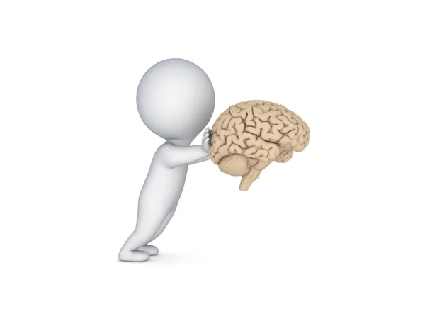 Cérebro Humano Isolado em Branco . — Fotografia de Stock