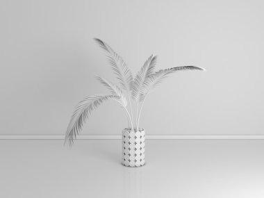 Dekoratif bitki üzerinde beyaz izole.