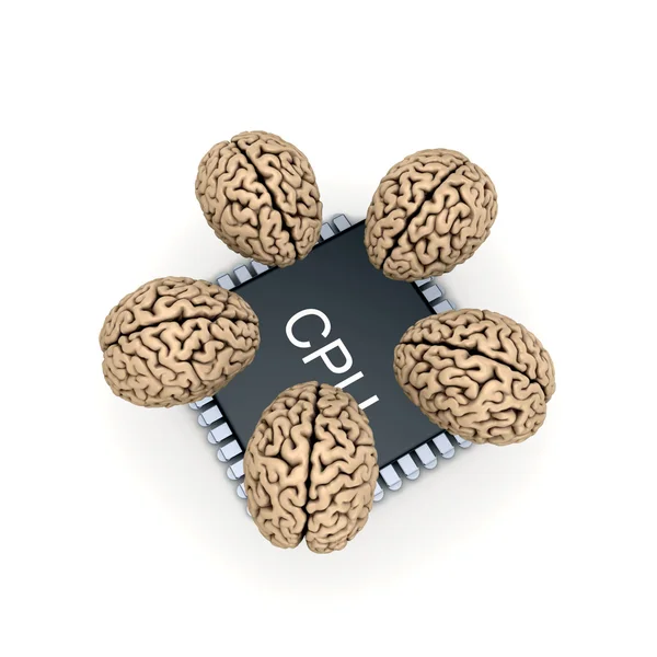 Человеческий мозг и микропроцессор . — стоковое фото