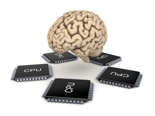 Людський мозок і мікропроцесор . — стокове фото