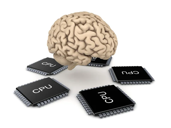 Cerebro humano y microprocesador . —  Fotos de Stock