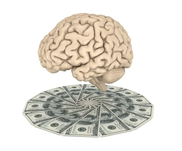 Cerebro humano y gran pila de dólares . —  Fotos de Stock