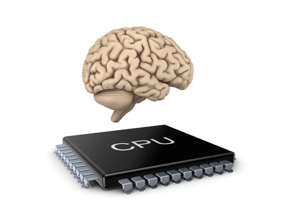 人間の脳とマイクロプロセッサ. — ストック写真