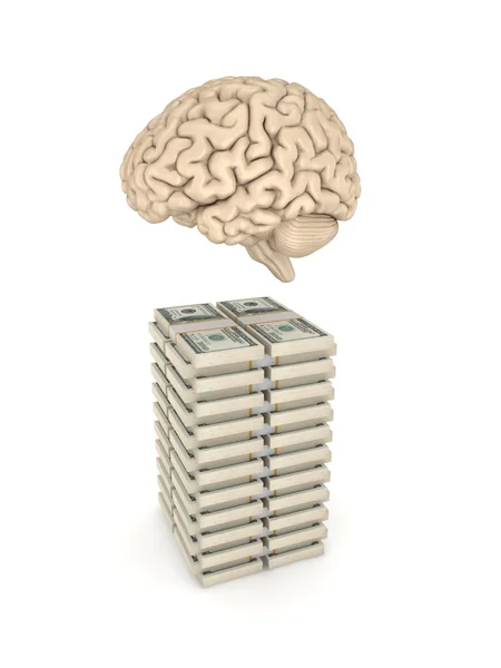 Menschliches Gehirn und ein großer Stapel Dollars. — Stockfoto