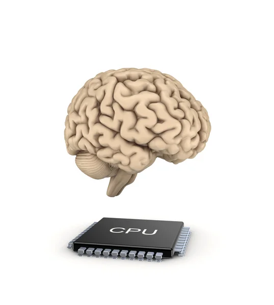 Cérebro humano e microprocessador . — Fotografia de Stock