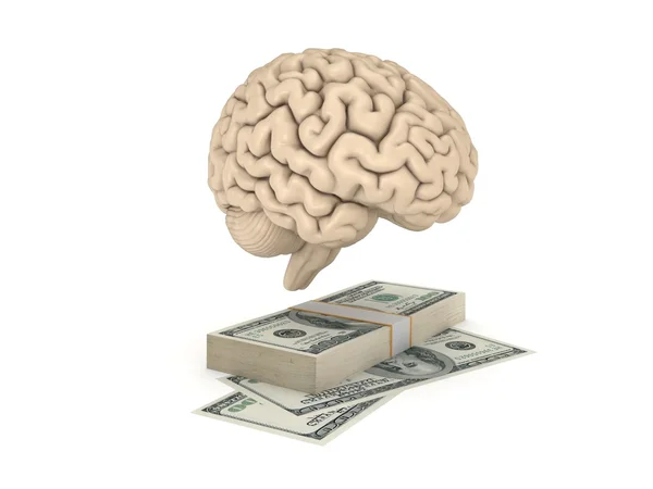 Lidský mozek a velký stack dolarů. — Stock fotografie