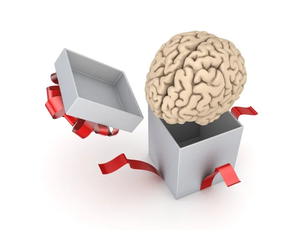 Cerebro humano en una caja de regalo . — Foto de Stock