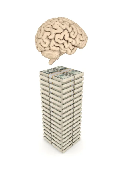 Menschliches Gehirn und ein großer Stapel Dollars. — Stockfoto