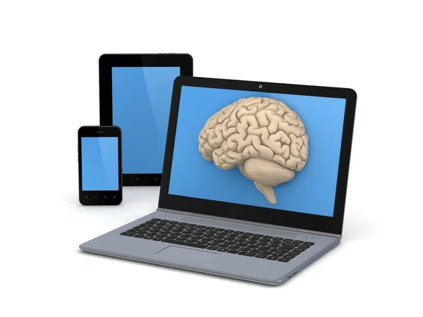 Human brain on a screen of laptop. — Stock Photo, Image