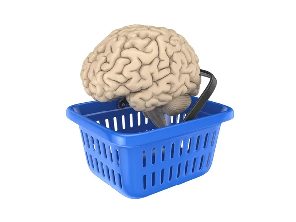 Mänskliga hjärnan på blå korg. — Stockfoto