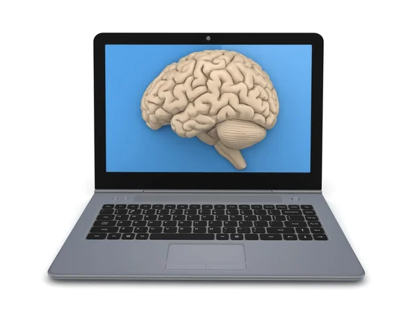 Human brain on a screen of laptop. — Stock Photo, Image