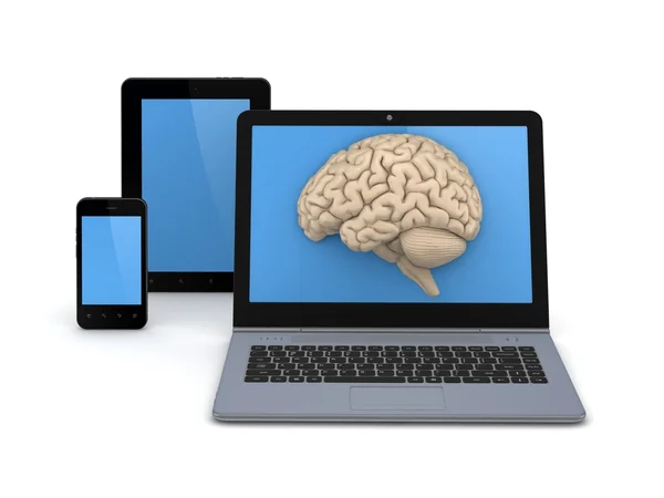 Mänskliga hjärnan på en skärm på laptop. — Stockfoto