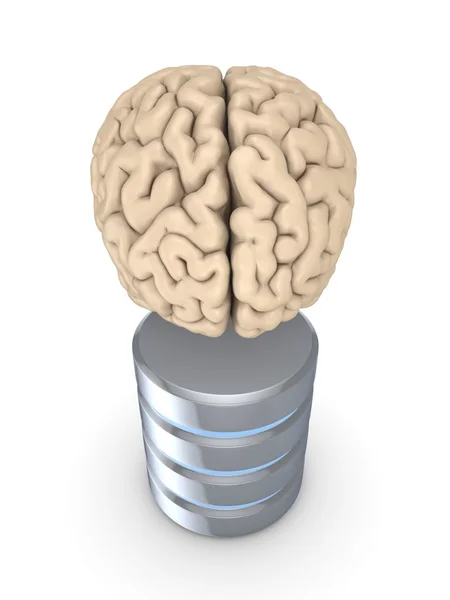 Menselijke hersenen en symbool van database. — Stockfoto