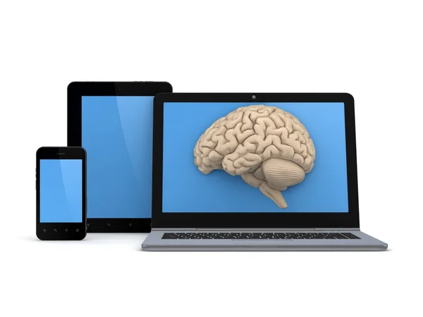 Human brain on a screen of laptop. — Stock Photo, Image