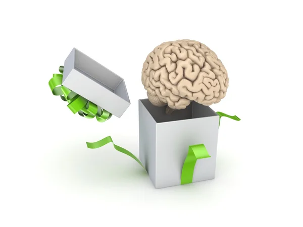 Cerebro humano en una caja de regalo . — Foto de Stock