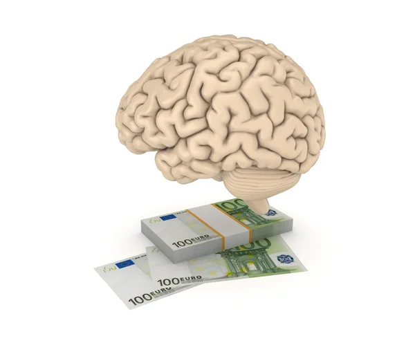 Menschliches Gehirn und eine Packung Euro. — Stockfoto