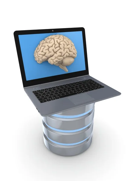 Notizbuch mit einem menschlichen Gehirn auf einem Bildschirm. — Stockfoto