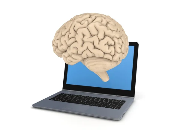 Cerveau humain sur un écran d'ordinateur portable . — Photo
