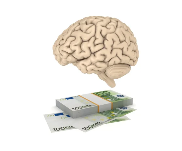 Menselijke hersenen en pack van euro. — Stockfoto