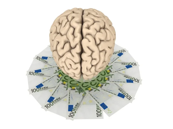 Mänskliga hjärnan och pack euro. — Stockfoto