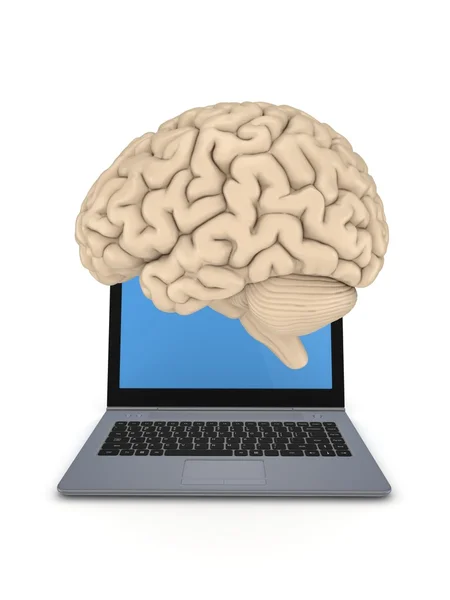 Mänskliga hjärnan på en skärm på laptop. — Stockfoto