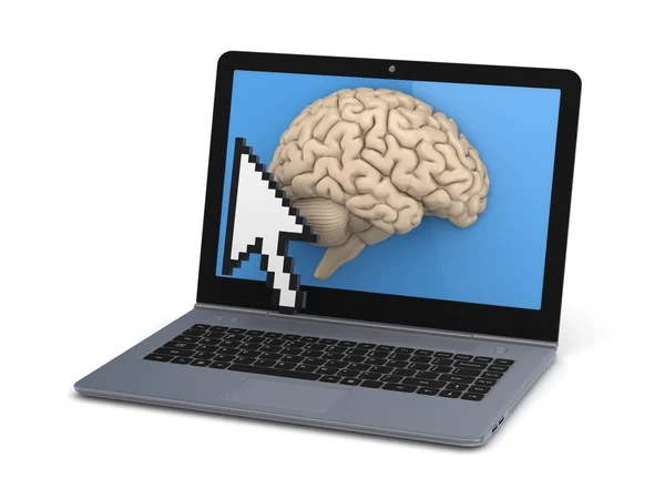 Human brain on a screen of laptop. — Stock Photo, Image