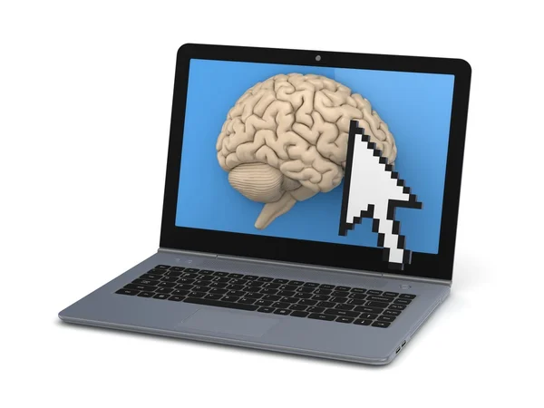 Menselijk brein op een scherm van de laptop. — Stockfoto