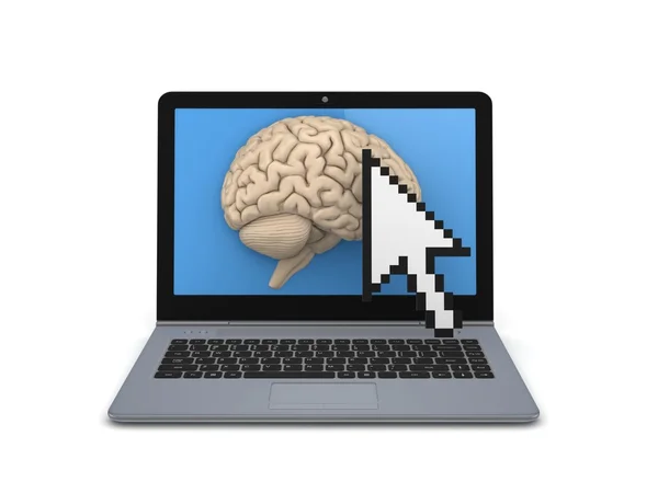 Human brain on a screen of laptop. — Stock Photo, Image