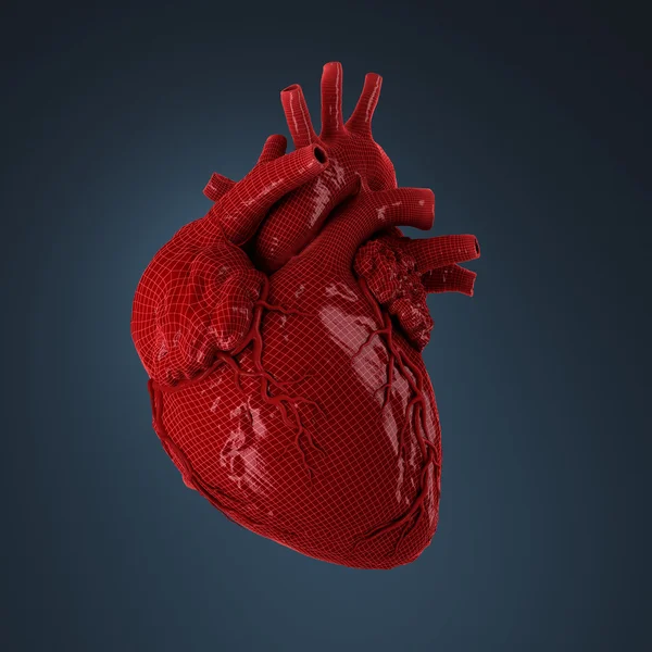 3D-s renderelt emberi szív. — Stock Fotó