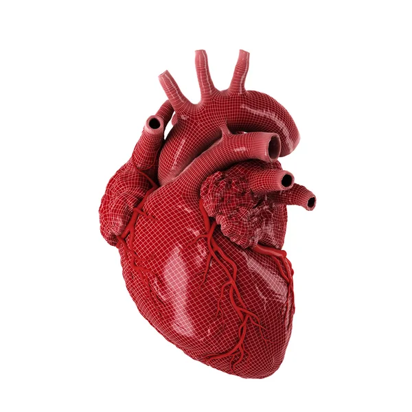 3D wytopione ludzkiego serca. — Zdjęcie stockowe