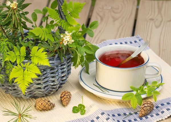 Tea drinking with forest herbs — Stock Photo, Image