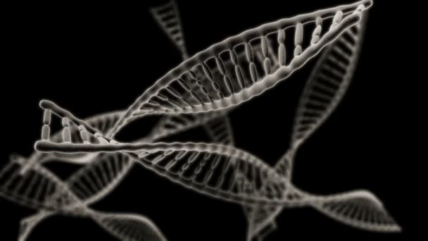 Sok DNS láncok forgatás a fekete háttér — Stock videók