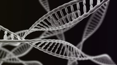 Many DNA chains on the black background clipart