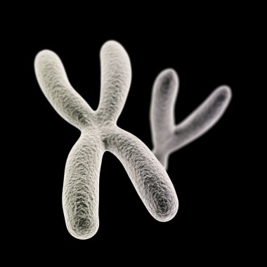 X and Y chromosomes (X front) on black background clipart