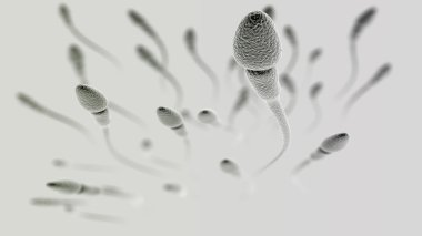 Sperm macro on light background clipart