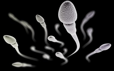 Sperm with macro on black background clipart