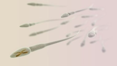 Sperm with chromosome inside macro on light background clipart