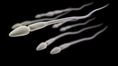 Sperm macro on the black background clipart