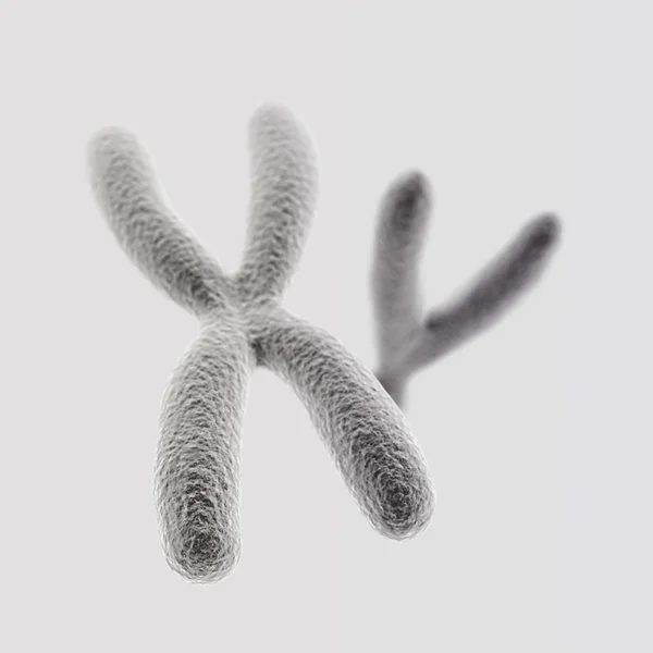 Chromosomes X et Y (avant X) sur fond de lumière — Photo