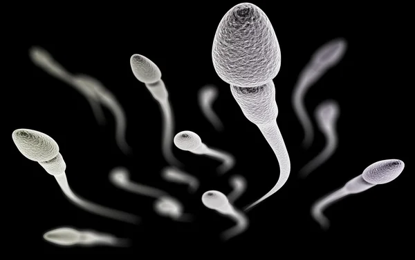 Sperm with macro on black background — Stockfoto