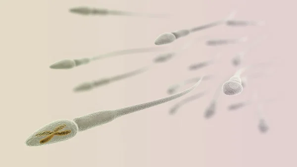 Esperma com cromossomo dentro macro no fundo claro — Fotografia de Stock