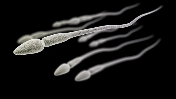 Макро спермы на черном фоне — стоковое фото
