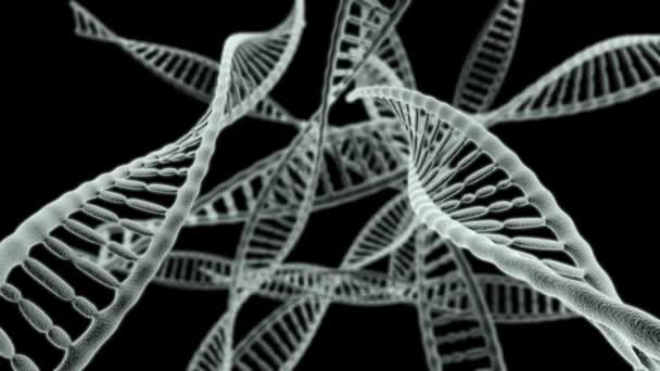 Journey through many DNA chains on a black background HD video — Stock Video