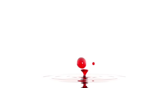 Drop of red wine macro with the focus effect (drop 2 - overbright version) — Stock Video