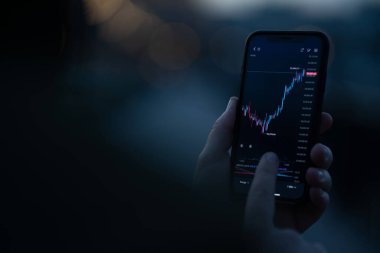 Akıllı telefondan mobil uygulamalardaki borsa verilerini kontrol eden yatırımcı