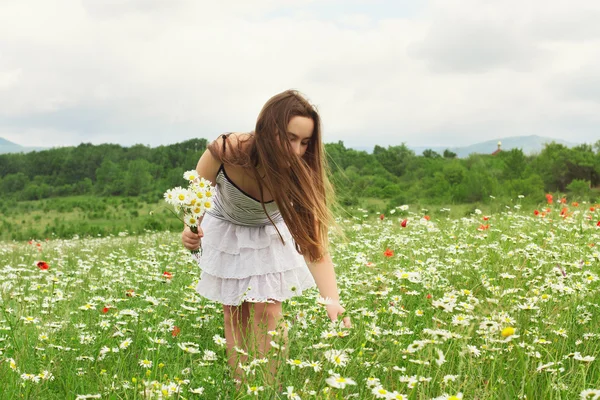 Ragazza raccogliendo fiori sul prato — Foto Stock